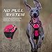BARKBAY No Pull Pet Harness  Dog Harness Adjustable Outdoor Pet Vest 3M Reflective Oxford Material Vest for pink Dogs Easy Control for Small Medium Large Dogs (XL)