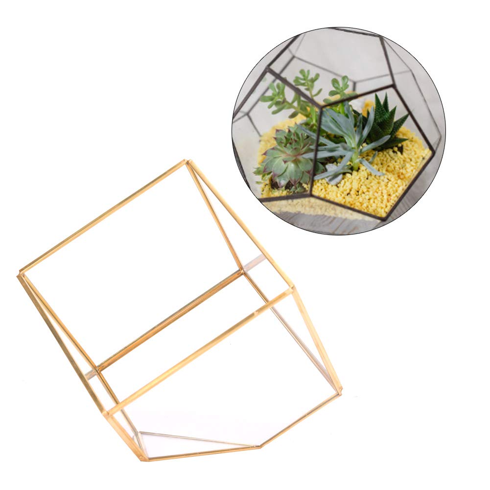 Terrario in Vetro Bordo Dorato Fioriera Geometrica Porta Piante succulente Contenitore Vaso da Fiori Finestra da Tavolo Decorazione paesaggistica