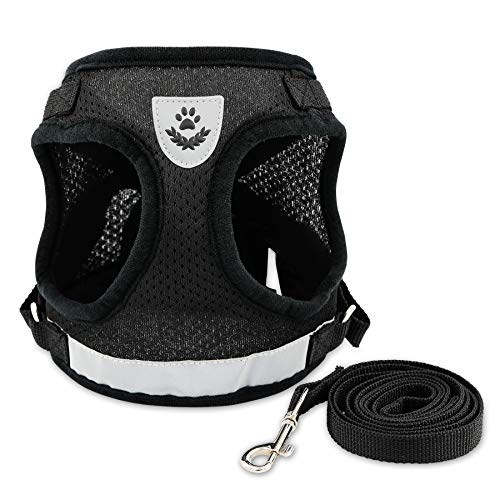 Top 10 Best Dog Harness For Everyday Use in June 2023