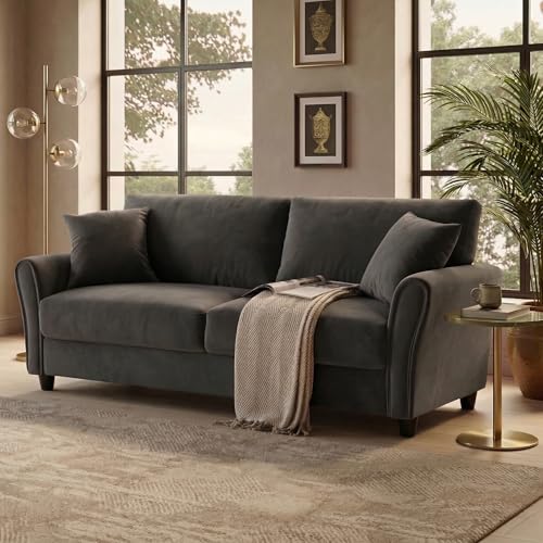 Image of 3 Seater Lceola Premium Fabric Sofa |Stylish And Comfortable Living Room Furniture| Heavy Quality Sofa And Builtin| Throne Of Comfort,Darkgrey