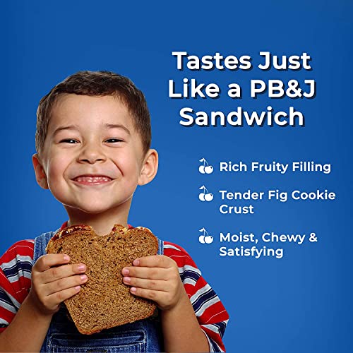 Betty Lou's Pb&J Bars | Peanut Butter & Blueberry Snack Bars | Gluten Free, Vegan, Non Gmo | Deliciously Healthy Snacks | Individually Wrapped, 2 Oz. Each (12 Pack) #TOP3