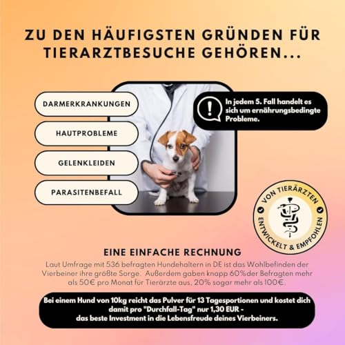 People who Kaer Morosche Karottensuppe 2X 200g, hohe Ergiebigkeit Dank Pulver-Form, Präbiotika Mittel zur Unterstützung bei Durchfall & Magenproblemen, bis zu 5L Moro Suppe, Hund Durchfall