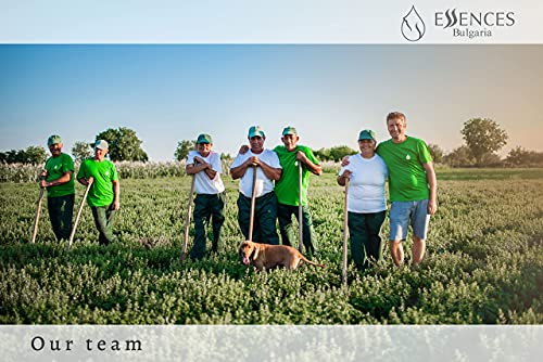 Biologische Salie (Salvia officinalis) natuurlijke etherische olie, 100% puur, onverdund, therapeutische klasse, hoogste… - Afbeelding 7