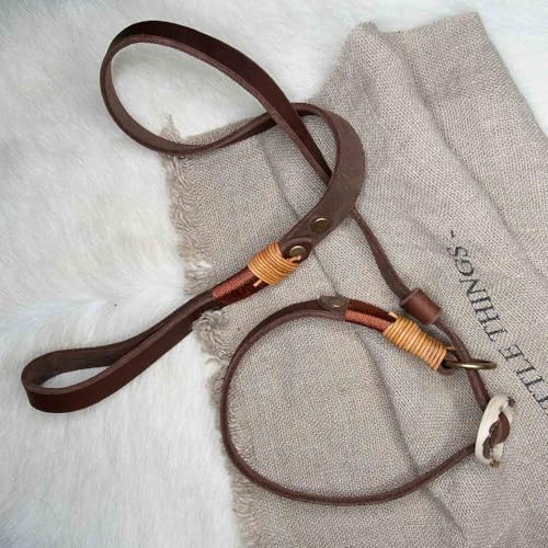 Retrieverleine Leder 20 mm in Braun | Burnt Amber | Moxon-Leine mit außergewöhnlichem Horn-Zugstopp | robuste und edle Hundeleine aus hochwertigem Fettleder mit integrierter Halsung - 230 cm