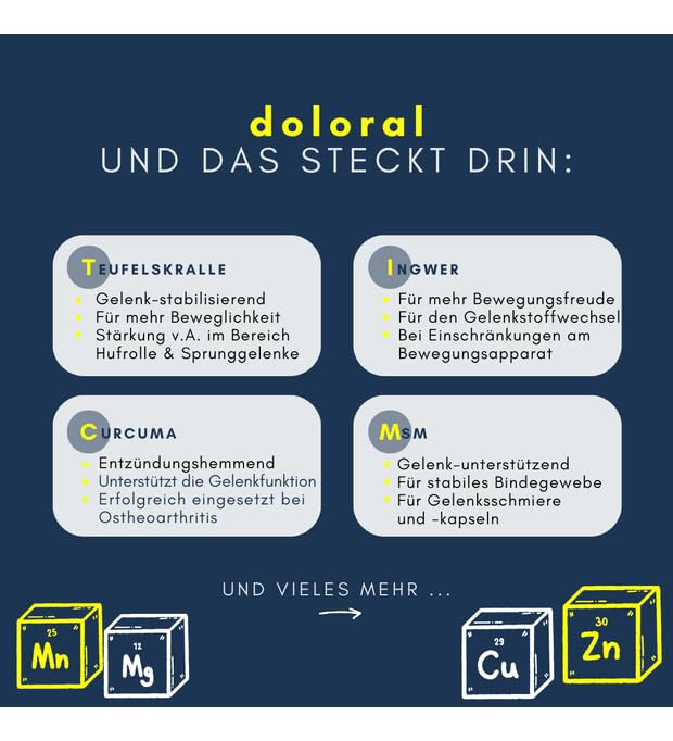 navalis doloral Dog Pulver | 160 g | Ergänzungsfuttermittel für Hunde | Mit Kurkuma & Teufelskralle
