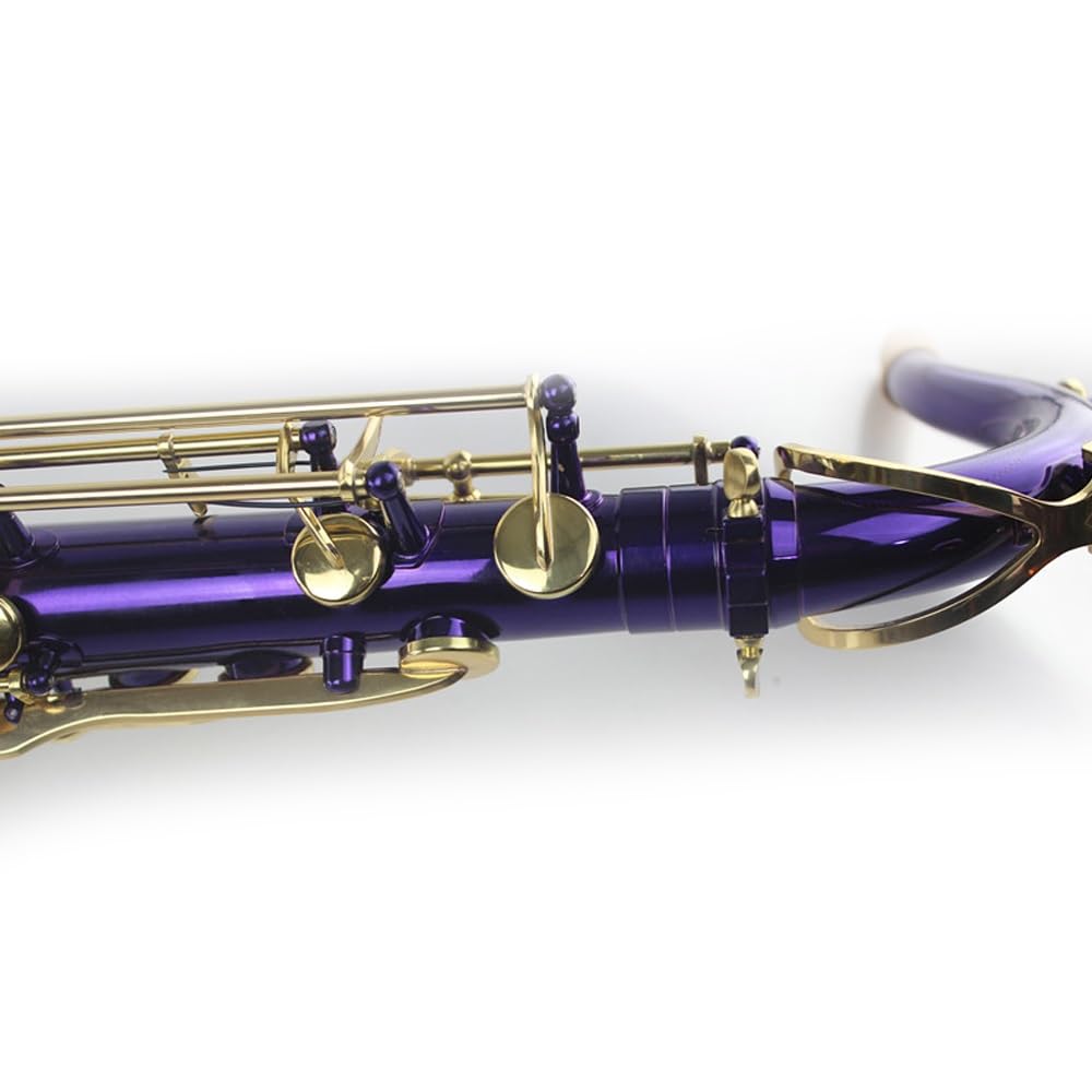 Strumento for sassofono tenore, strumento da gioco professionale, corpo in ottone, tasti dorati verniciati viola, sassofono tenore professionale in si bemolle, set for sassofono, testa di flauto, cust