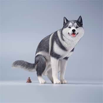 51mcIQzDVNL._AC_UF350, 51mcIQzDVNL._AC_UF350,