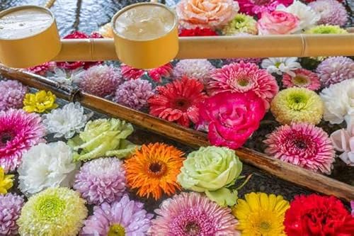 y{i|XgJ[hzRER蔪{ Ԏ萅 ԁXP photo by daikegorotHgJ[hyY