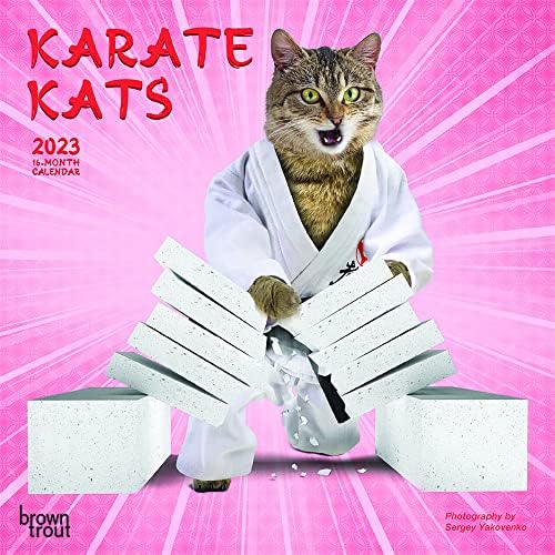Amazon.com: TF PUBLISHING Space Cat 2023 Wall Calendar 12 Month | Premium 2023  Calendar Wall | Large Wall Calendar 2023 Monthly | Big Grid Calendars 2023  | Calander 2023 | Planners For Office Calender 2023 : Everything Else