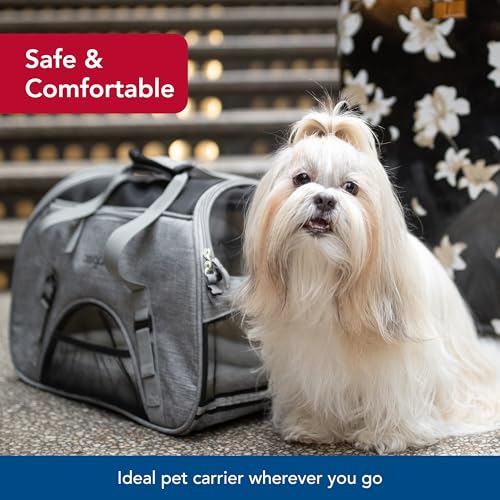 Coastal Pet Bergan Comfort Carrier – Transportador de viagem respirável para cães e gatos – cinza ur