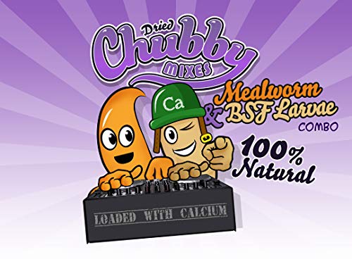 2Lb Chubby Mix (Mealworm & Black Soldier Fly Larvae Combo) For Wild Birds, Chickens Etc. #TOP3