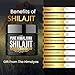 Shilajit Pure Himalayan Organic Resin - Natural Authentic Lab Tested Formula for Men, Women - No Heavy Metals - 600mg Max Strength with 85+ Trace Minerals Golden Grade Shilajit Supplement (1 Pack)