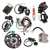 Jinerdony Complete Wiring Harness Kit with Electrics Stator Coil CDI Solenoid Relay Spark Plug suitable for ATV Quad 4 Four Wheelers 150CC 200CC 250CC 300CC Quad Bike Buggy Go Kart