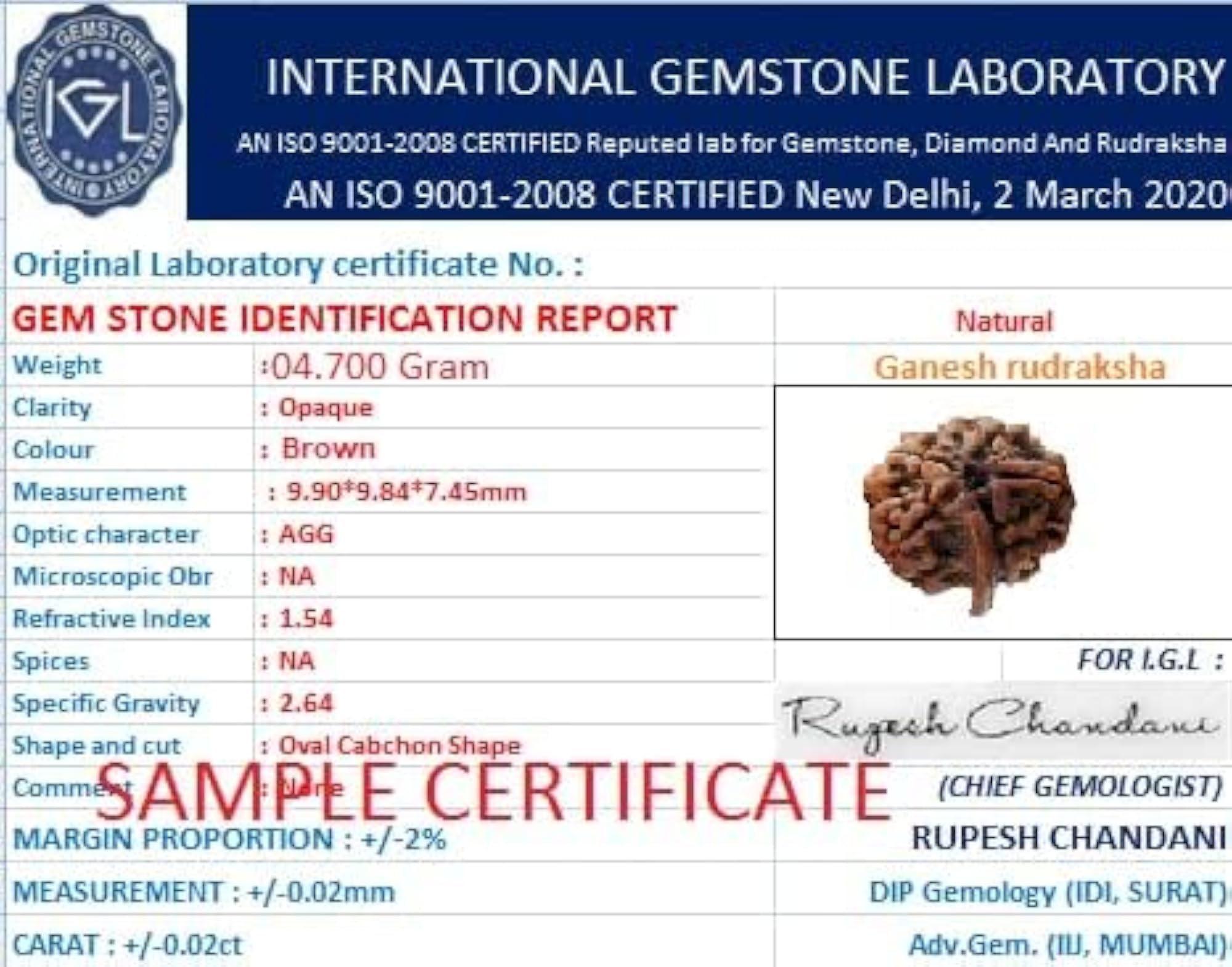 Ganesh Rudraksha Original Certified Bead
