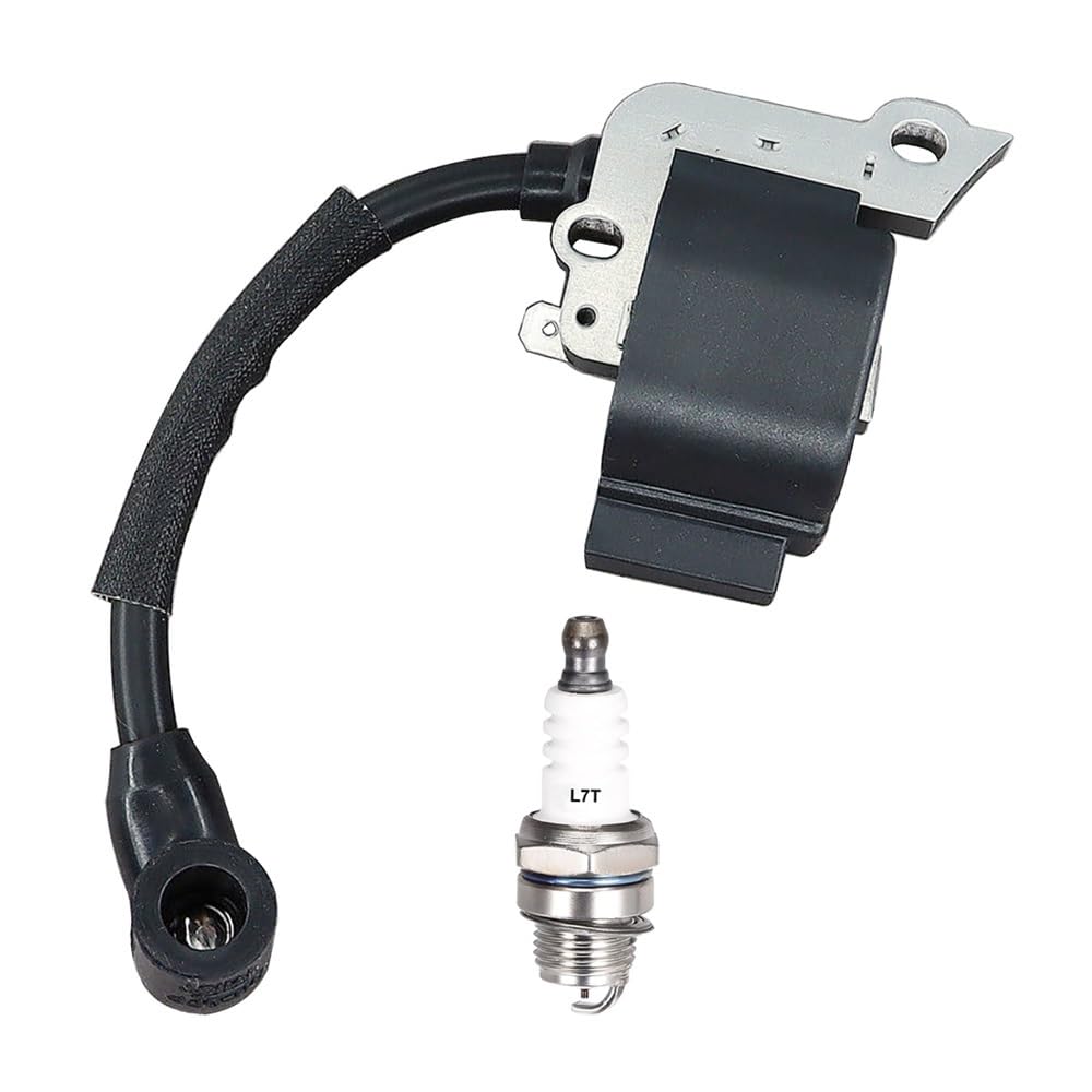 Bobine d'allumage avec bougie 753-06303 pièce rechange ST227S 316791200