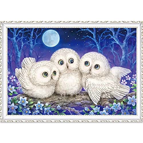 Peinture diamant chouette 70x120 à strass facettés pour un éclat maximal