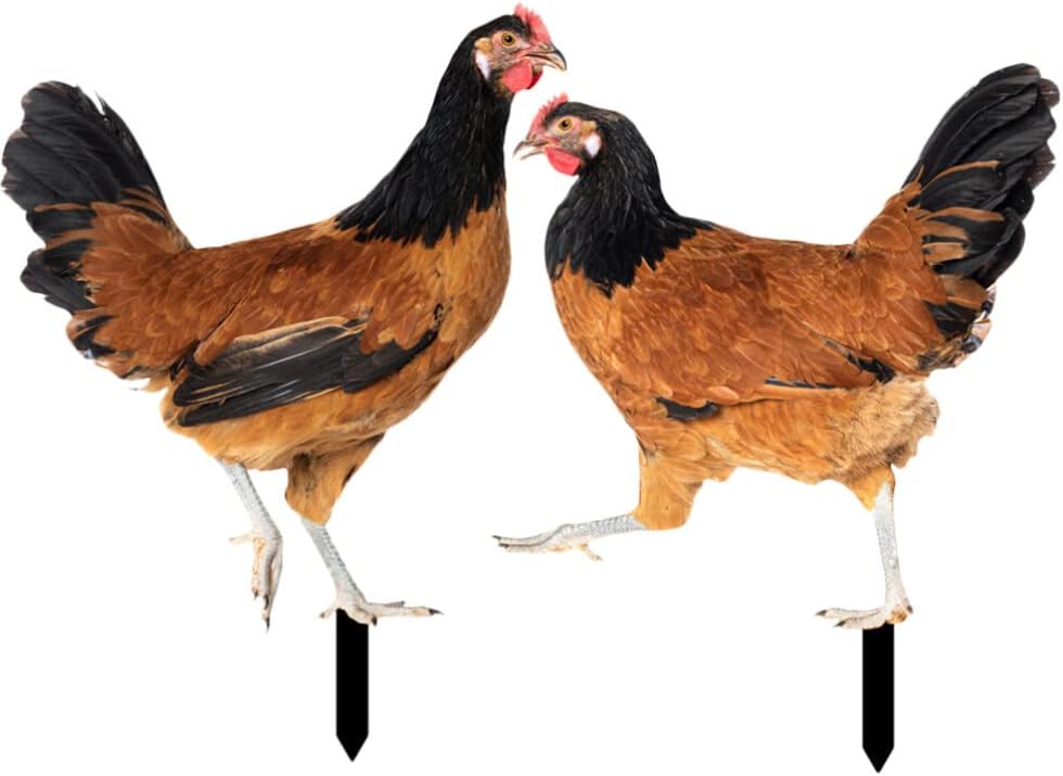 5 Enten Deko Stecker Gartenfiguren - Lustige Gänse Als Osterdeko Für Garten & Rasen