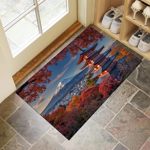 Felpudo entrada 50 x 80 cm evita resbalones con base antideslizante 2