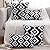 CARRIE HOME Black and White Outdoor Lumbar Pillows 12x20 Waterproof Set of 2, Black Porch Lumbar Pillow Covers 12 x 20, Outdoor Patio Decor for Patio Furniture, RV, Backyard, Deck, Trailer, Camping