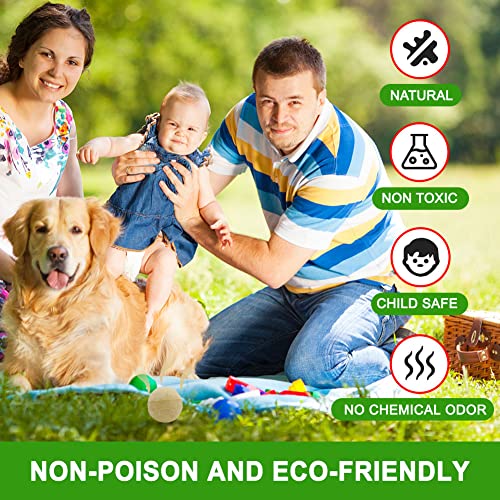 Daliyrepal Mole Repellent,Vole Repellent Outdoor,Gopher Repellent, Mole Repellent For Lawns,Natural Gopher Repellent Keep Moles And Voles Out Of Your Lawn And Garden, Safe Around Pet & Plant -8 Packs #TOP6