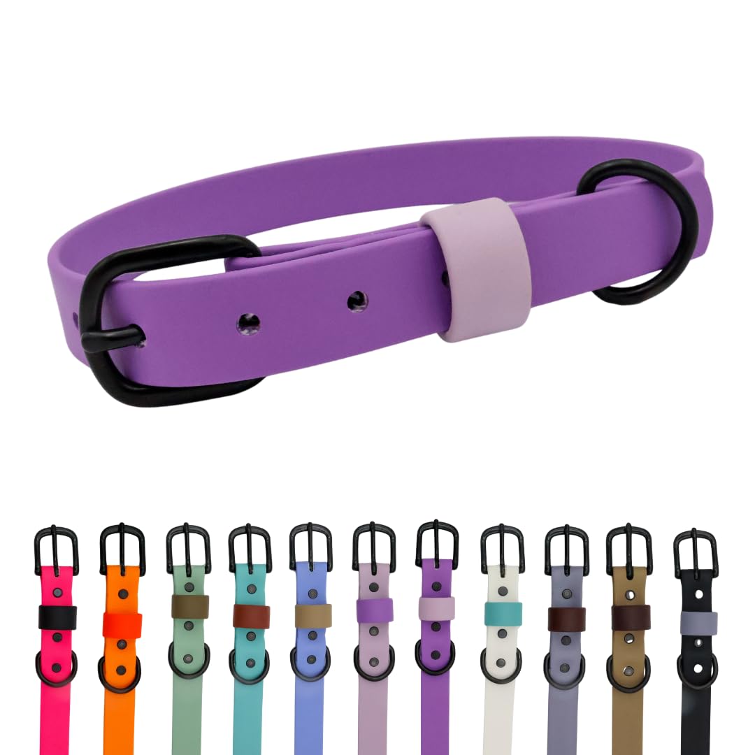Collier pour chien imperméable lavande L fini les mauvaises odeurs