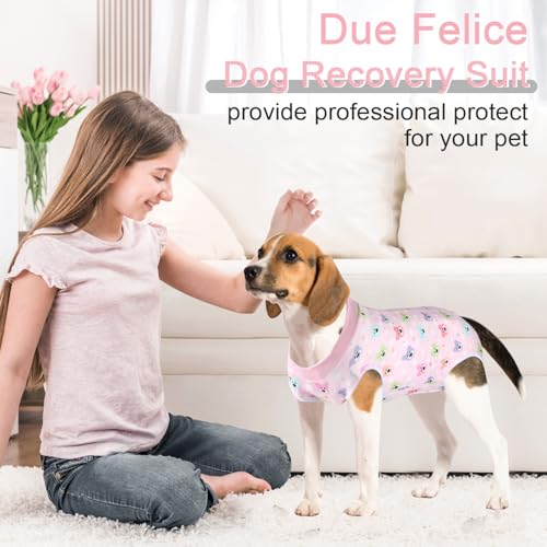 Image of Dog Surgery Suit Female Spay Recovery Suit for Dogs Surgical Recovery Suit for Female Dog Neuter Recovery Suit Male Dogs Onesie for Surgery Fits Small Medium Dog Pink Bear /L