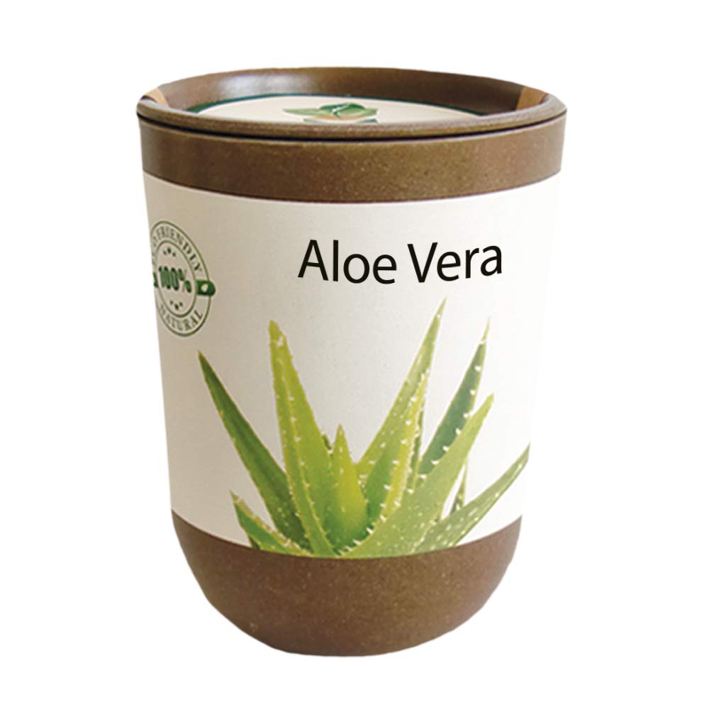 Feel Green Ecocan, Aloe Vera Exotics, Idée Cadeau (100% Biodégradable), Grow-Your-Own/Kit Prêt-à-Pousser, Le Pot Écologique Qui Croît 9 x 7 cm, Produit en Autriche