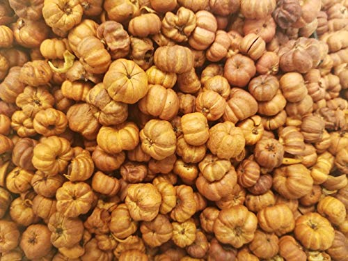 Little Valley Large 1 Lb. Bag Of Harvest Scented Putka Pods, Mini Pumpkins - Perfect As Potpourri, Craft, Bowl Filler, Decoration - Fall Or Autumn Must Have #TOP1