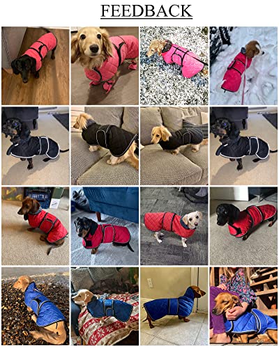 Warm Thermal Quilted Dachshund Coat, Dog Winter Coat With Warm Fleece Lining, Outdoor Dog Apparel With Adjustable Bands For Medium, Large Dog-Red-S #TOP1