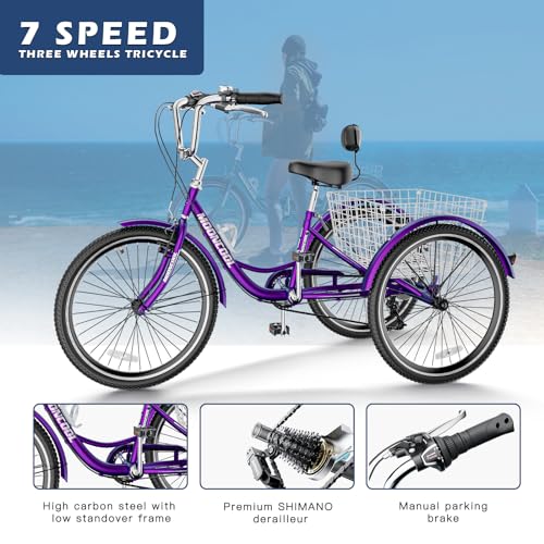Barbella Adult Tricycle 7 Speed 3 Wheel Bike Adult Trikes, Three-Wheeled Bicycles Cruise Trike with Basket for Seniors, Women, Men for Recreation Shopping (24", Rose Purple)