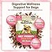 Pet Naturals Daily Probiotic Soft Chews for Dogs, Digestive and Immune Support Supplement, 1 Billion CFU Per Chew, Duck, 160 Count