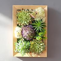 Amazon｜HGJH フェイクグリーン 多肉植物 ウォールグリーン 人工