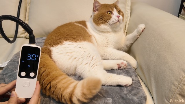 Amazon | 【鉄壁の安心防護・恒温技術・冬の必須品】ペット用ホット