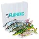 Jerkbait Elbfang Hecht Wobbler Kunstköder-Set mit 5 Stück