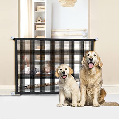 Top 10 Best Mesh Door For Dogs Reviews & Buying Guide Katynel
