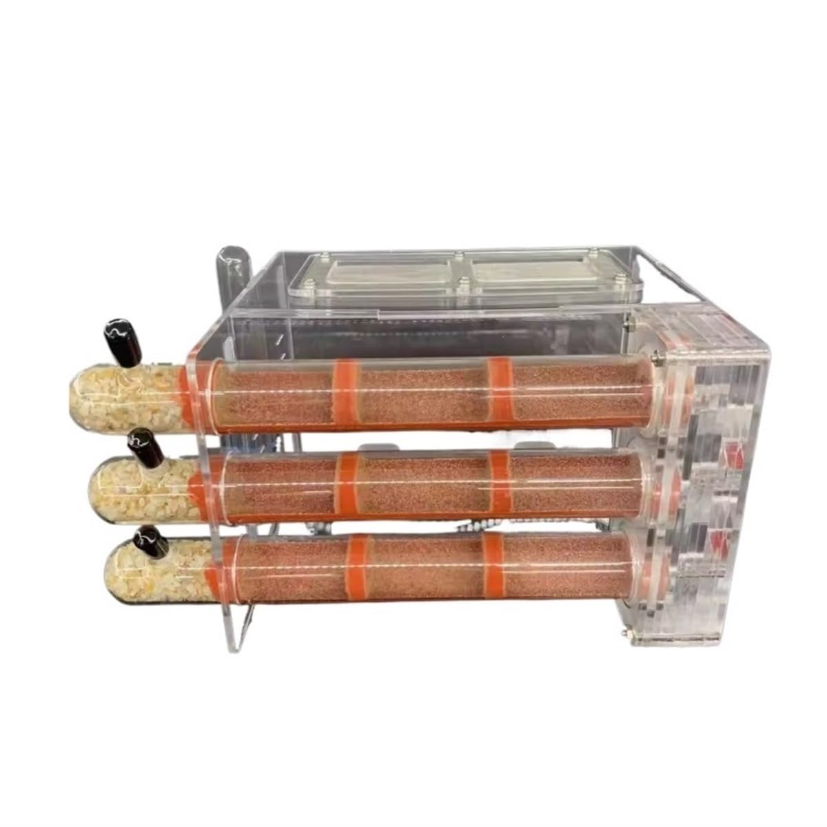 Formicarium Hormiga Hormiguero, Ecológico, Tubo De Ensayo, Nido con Torre Agua, Castillo Hormigas Granja Hormigas