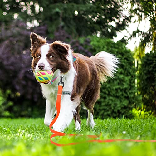 Wolfone 6m orange Schleppleine für Hunde,wasserdichte Trainingsleine, strapazierfähige und Pflegeleichte Leine, geeignet für Rückruf, Schwimmen, Camping, Strand, Jagd, Spaziergänge