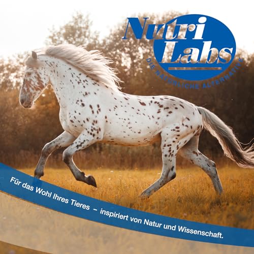 NutriLabs Nutrilytes Basic Elektrolyte für Pferde, geeignet für Freizeitpferde zum Ausgleich des Elektrolythaushaltes bei mäßigem Schwitzen, 1 L