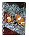 Ravensden 3D-Notizbuch, Clownfisch, 21 cm