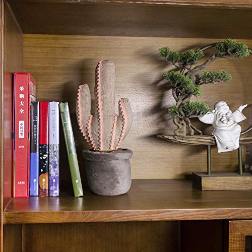 Cactus Decorative Polyester Door Stopper[Weigh:1.8Lb],Falidi Home And Office Decoration Book Stopper-Pink，13.7 X 5.8 X 4.7” #TOP4