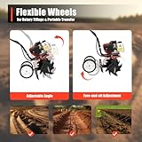 DAOHHFO B0D9LDDWGZ lato 4