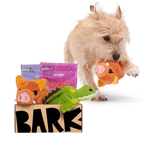 25 Best Toys for Deaf Dogs on the