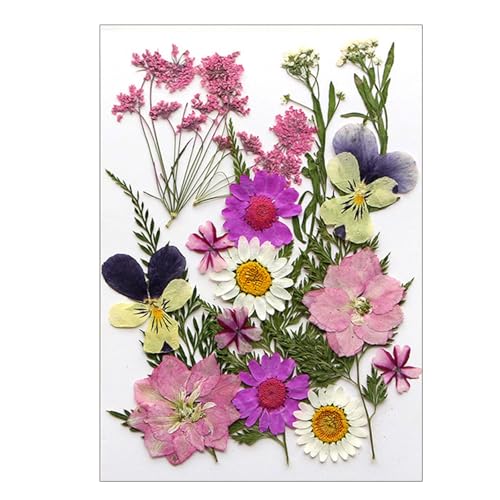 Flores secas prensadas para resina epoxi y manualidades miniatura 1