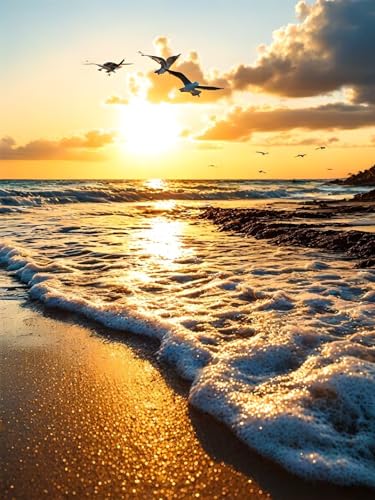 Peinture Diamant Adulte 5D Océan et Coucher de Soleil Kit Complet de Broderie 40x50cm F-2