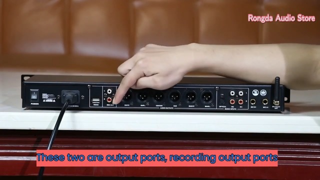 Amazon.com: Professional Karaoke Audio Processor, with Equalizer