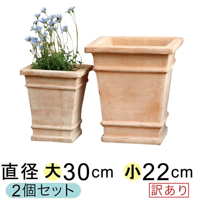深鉢 Amazon | めだか メダカ 屋外 飼育 水槽 容器 ビオトープ 睡蓮鉢