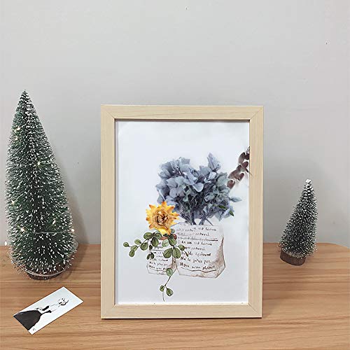 Gonetre Kit de Flores Secas para Manualidades miniatura 2