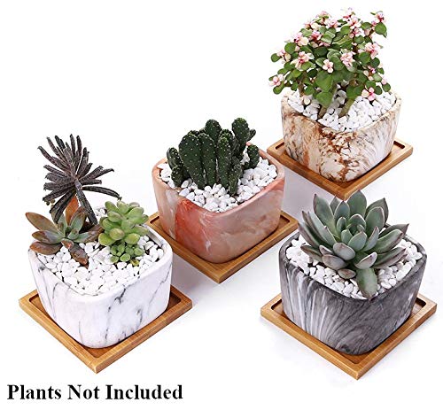 Appyhut 3 5 Inch Square Plant Pots Mar Buy Online In Costa Rica At Desertcart