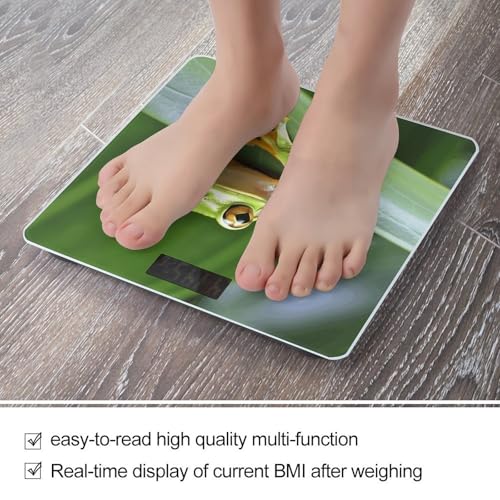 Báscula digital para bebés Tree Frog con vidrio templado miniatura 5
