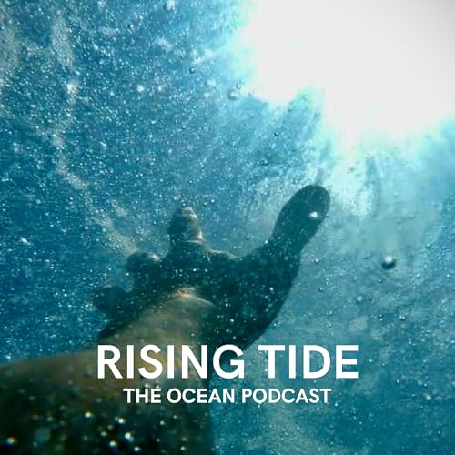 Fatal Watch: Uncovering the Truth Behind Ocean Observer Murders